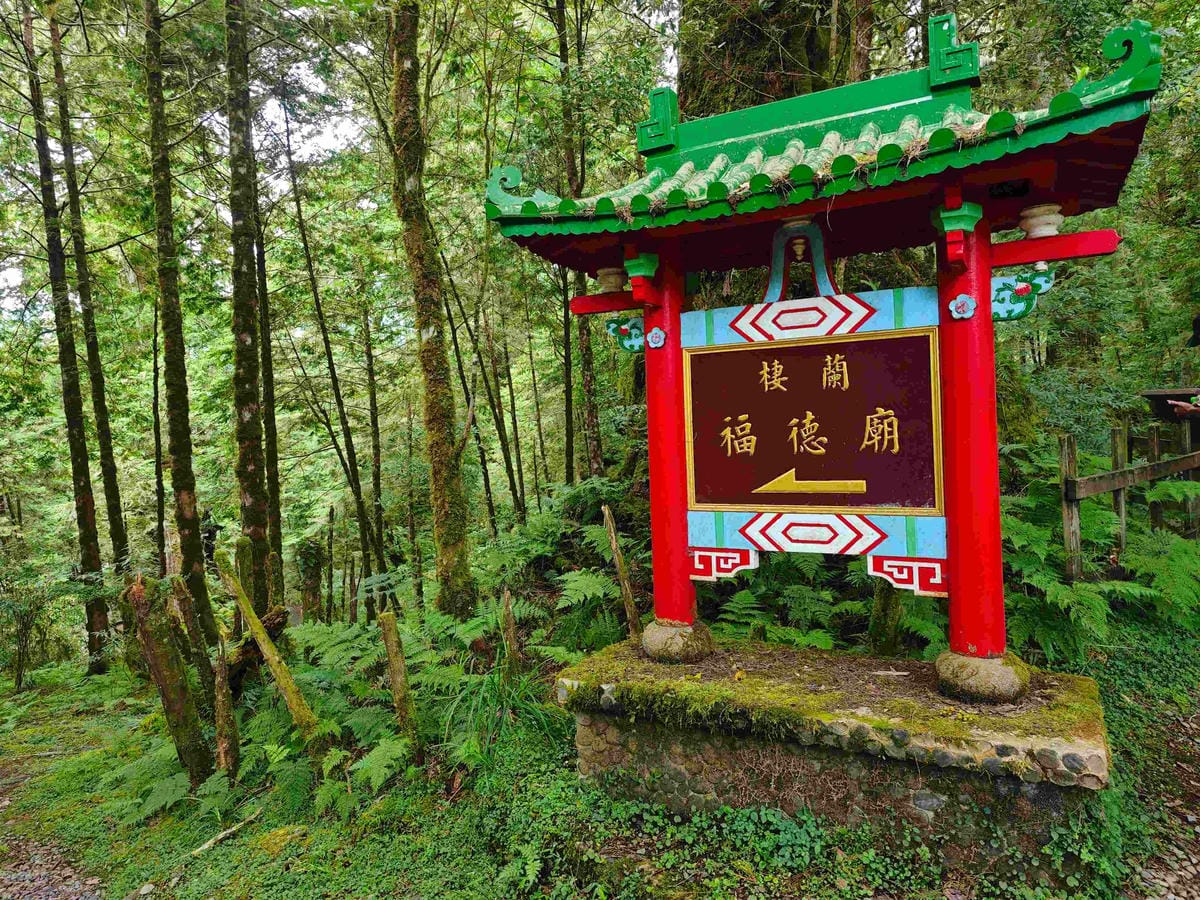 檜木的故鄉~棲蘭馬告神木園區 (32).jpg 檜木的故鄉~棲蘭馬告神木園區 (32).jpg