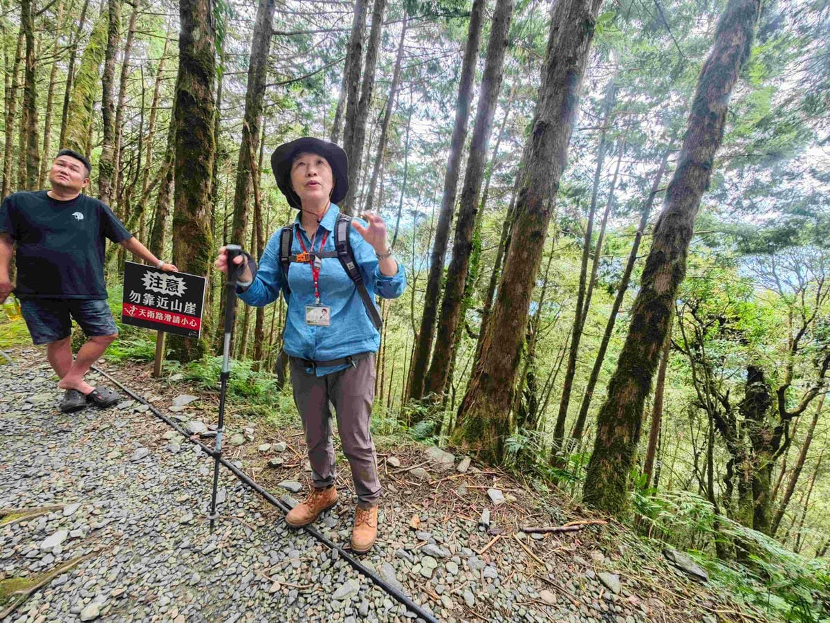 檜木的故鄉~棲蘭馬告神木園區 (67).jpg 檜木的故鄉~棲蘭馬告神木園區 (67).jpg