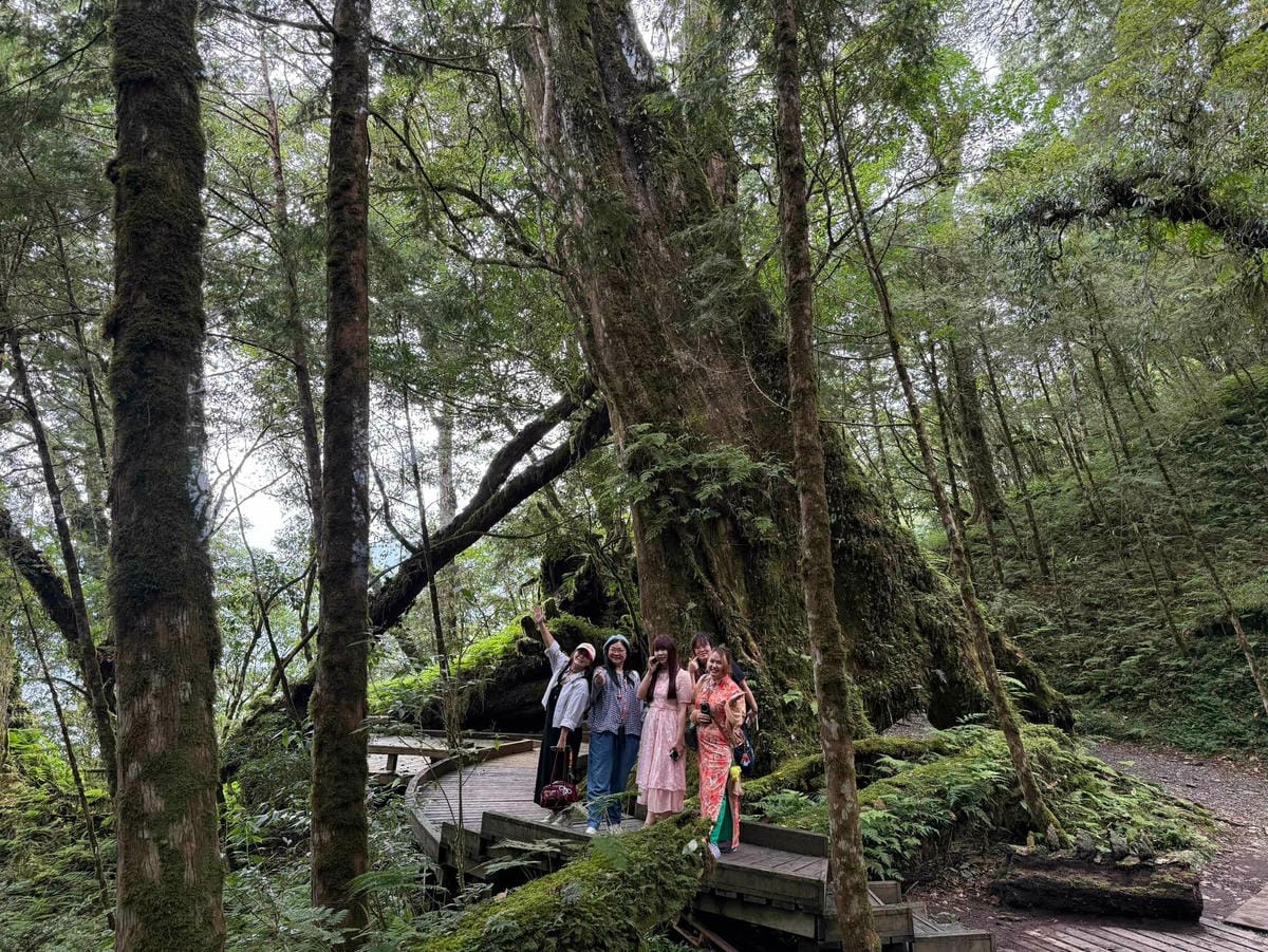檜木的故鄉~棲蘭馬告神木園區 (7).jpg 檜木的故鄉~棲蘭馬告神木園區 (7).jpg