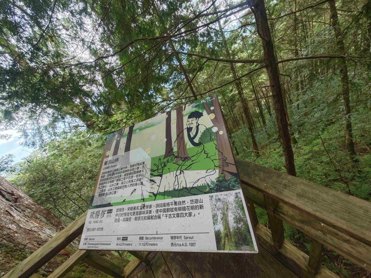 檜木的故鄉~棲蘭馬告神木園區 (62).jpg 檜木的故鄉~棲蘭馬告神木園區 (62).jpg