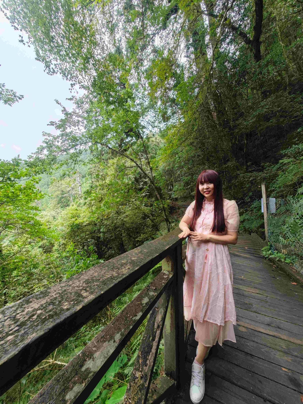 檜木的故鄉~棲蘭馬告神木園區 (39).jpg 檜木的故鄉~棲蘭馬告神木園區 (39).jpg