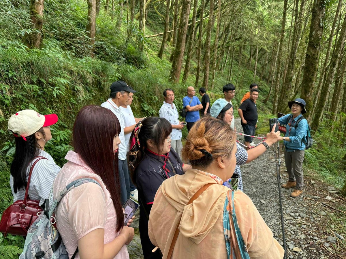 檜木的故鄉~棲蘭馬告神木園區 (4).jpg 檜木的故鄉~棲蘭馬告神木園區 (4).jpg