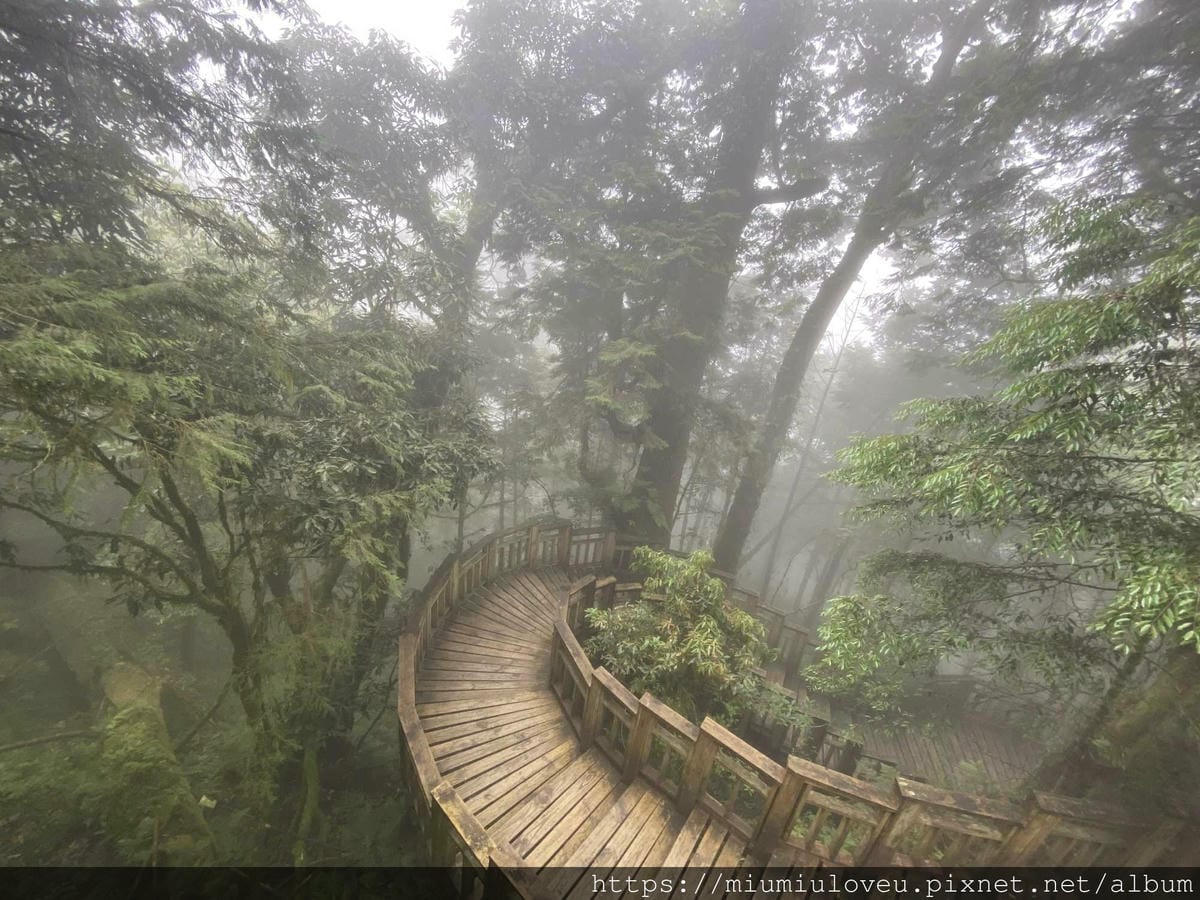 IMG_0412_副本.jpg IMG_0412_副本.jpg