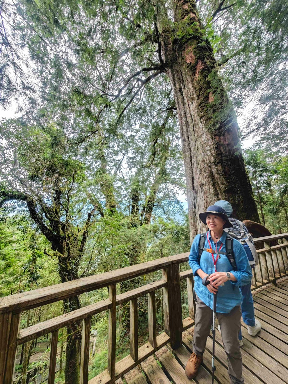 檜木的故鄉~棲蘭馬告神木園區 (64).jpg 檜木的故鄉~棲蘭馬告神木園區 (64).jpg