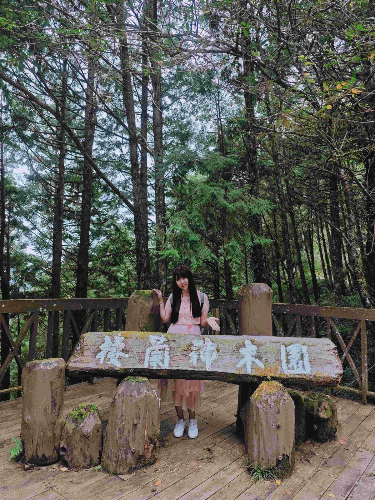 檜木的故鄉~棲蘭馬告神木園區 (11).jpg 檜木的故鄉~棲蘭馬告神木園區 (11).jpg