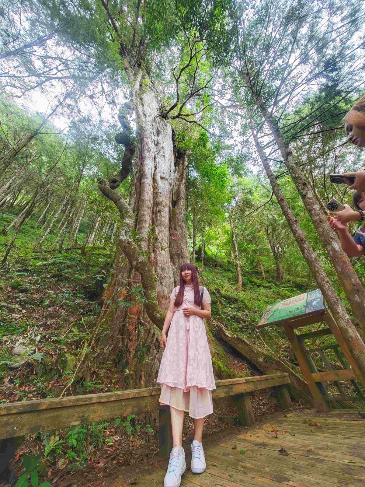 檜木的故鄉~棲蘭馬告神木園區 (52).jpg 檜木的故鄉~棲蘭馬告神木園區 (52).jpg