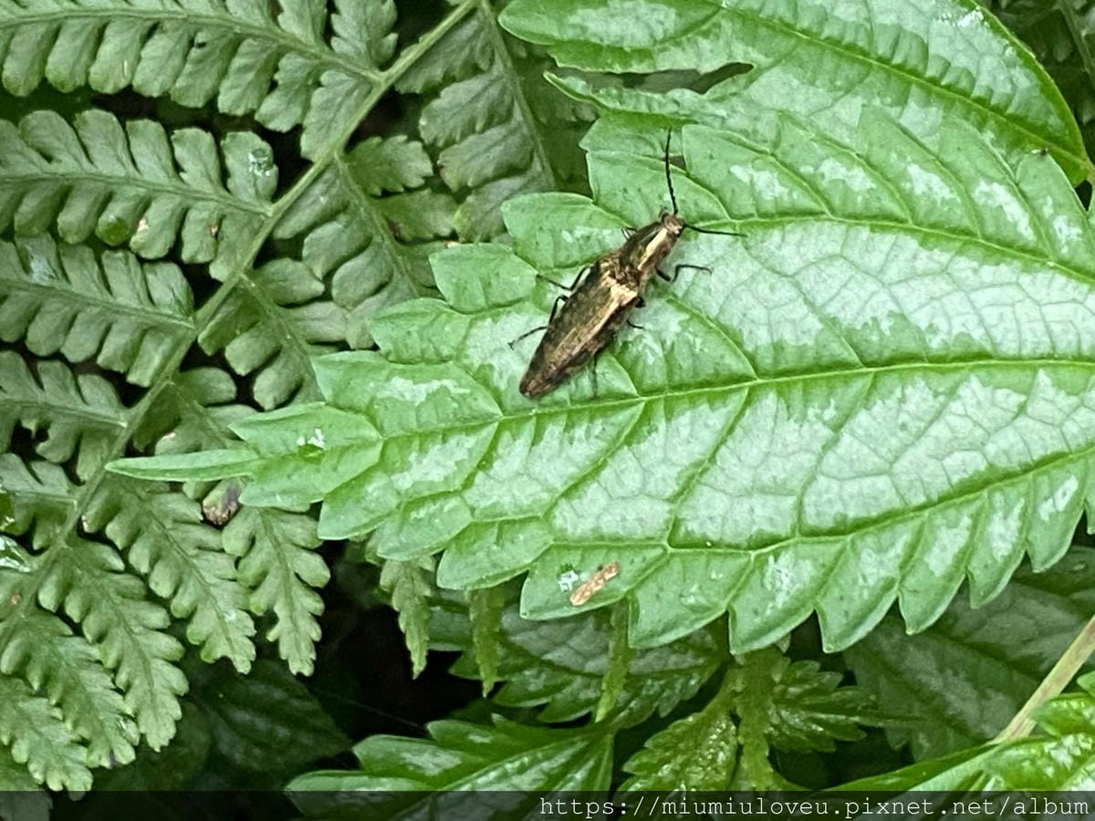 IMG_0147_副本.jpg IMG_0147_副本.jpg