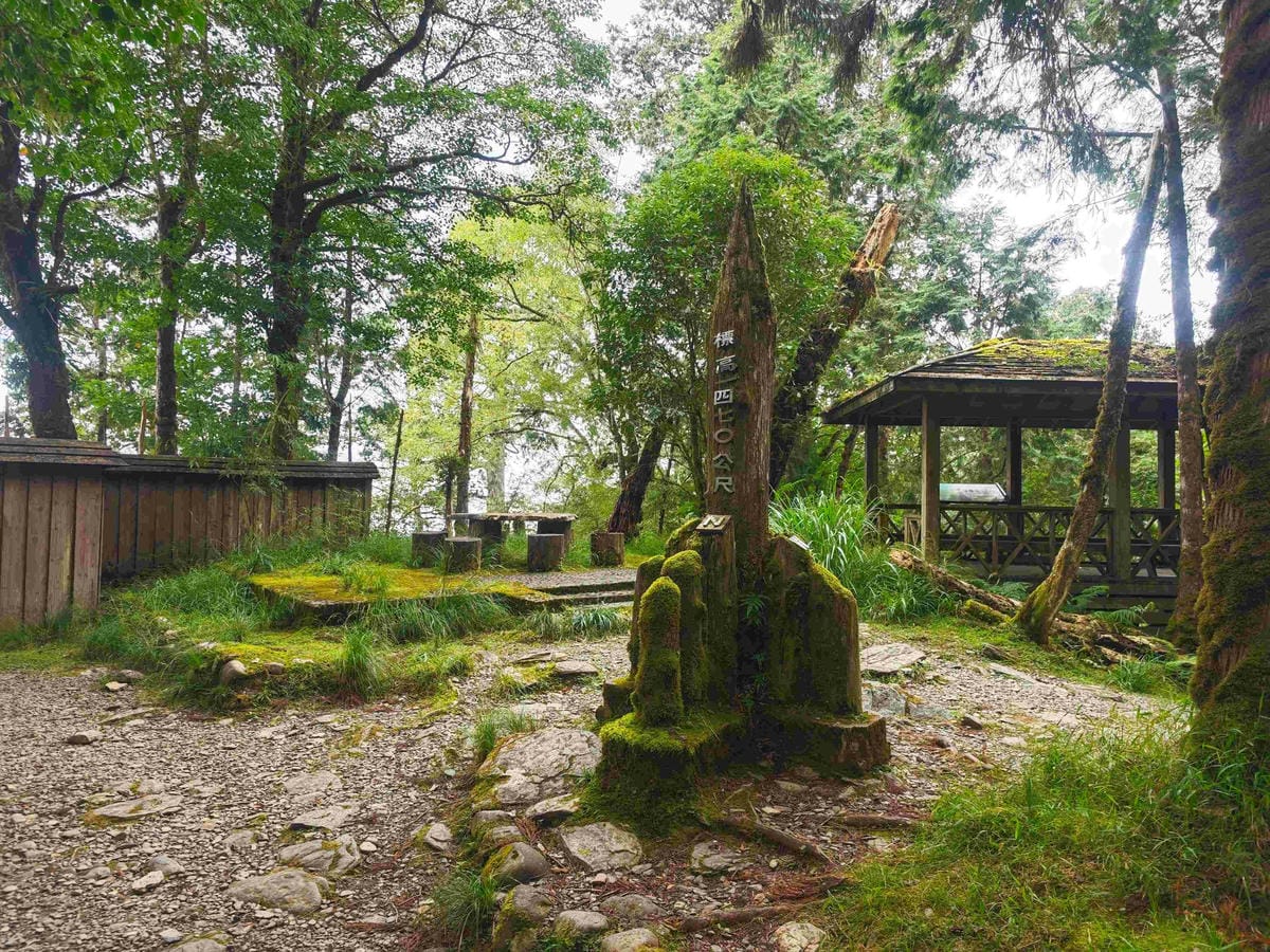 檜木的故鄉~棲蘭馬告神木園區 (28).jpg 檜木的故鄉~棲蘭馬告神木園區 (28).jpg