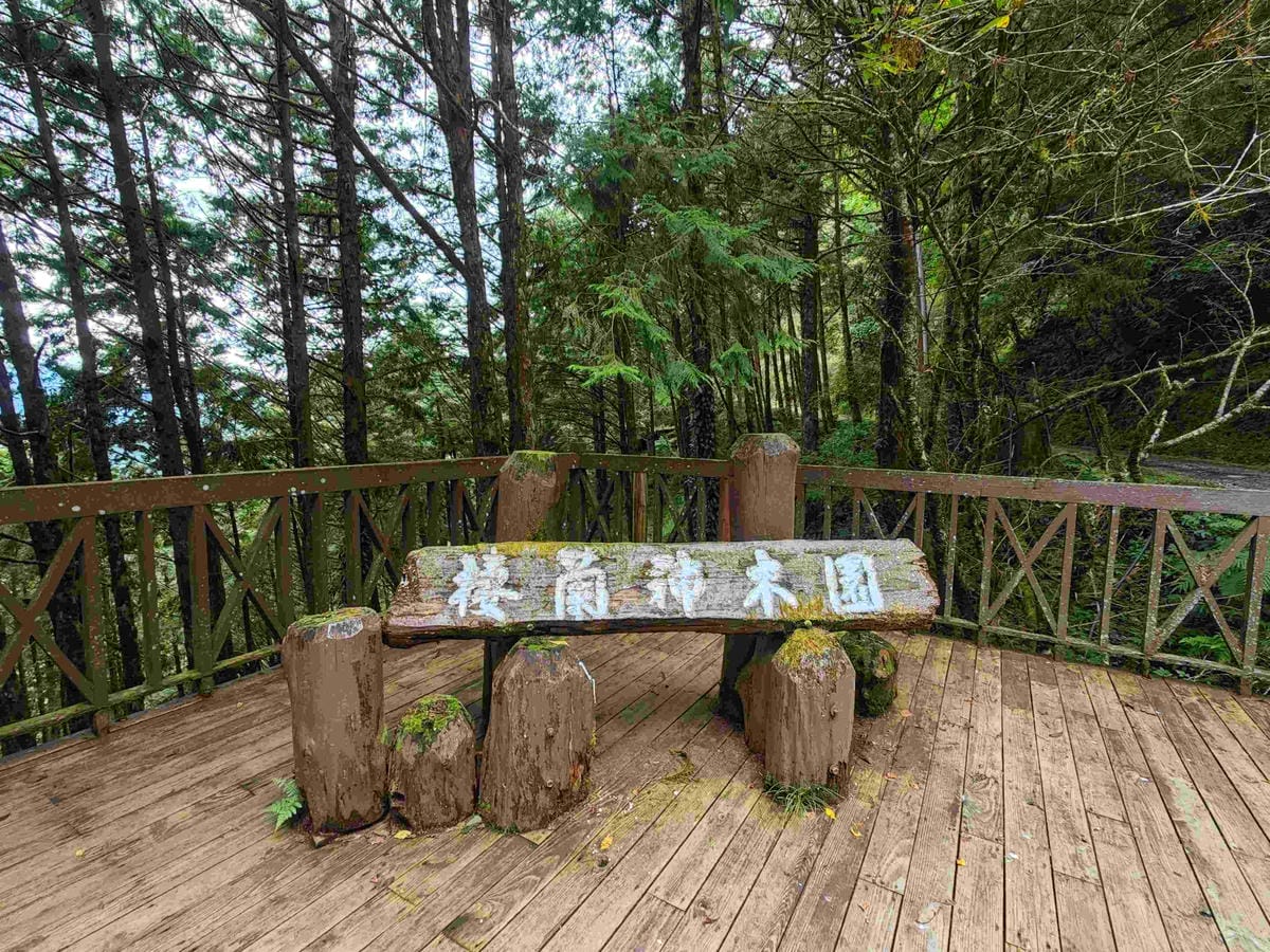 檜木的故鄉~棲蘭馬告神木園區 (71).jpg 檜木的故鄉~棲蘭馬告神木園區 (71).jpg