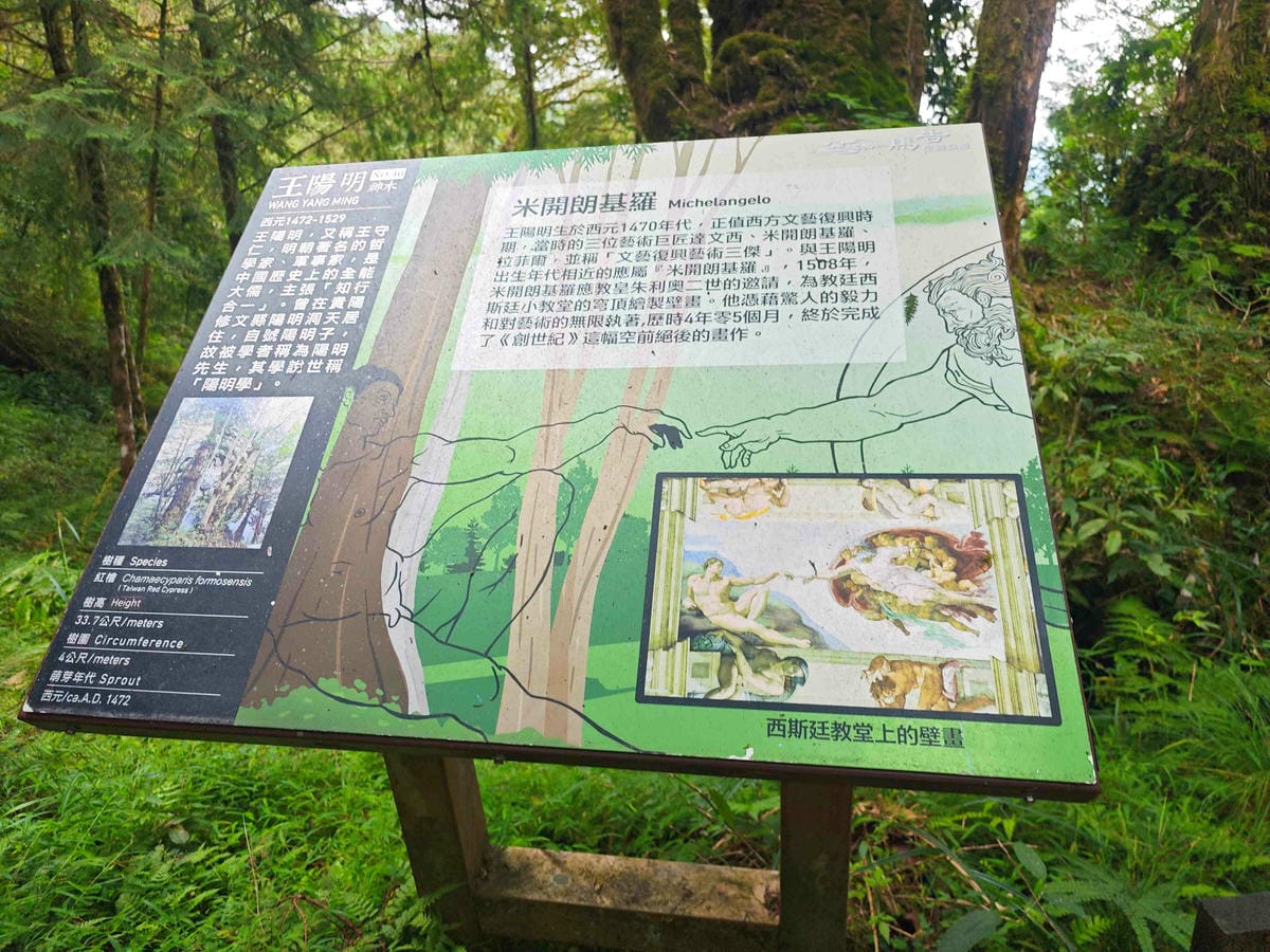 檜木的故鄉~棲蘭馬告神木園區 (26).jpg 檜木的故鄉~棲蘭馬告神木園區 (26).jpg