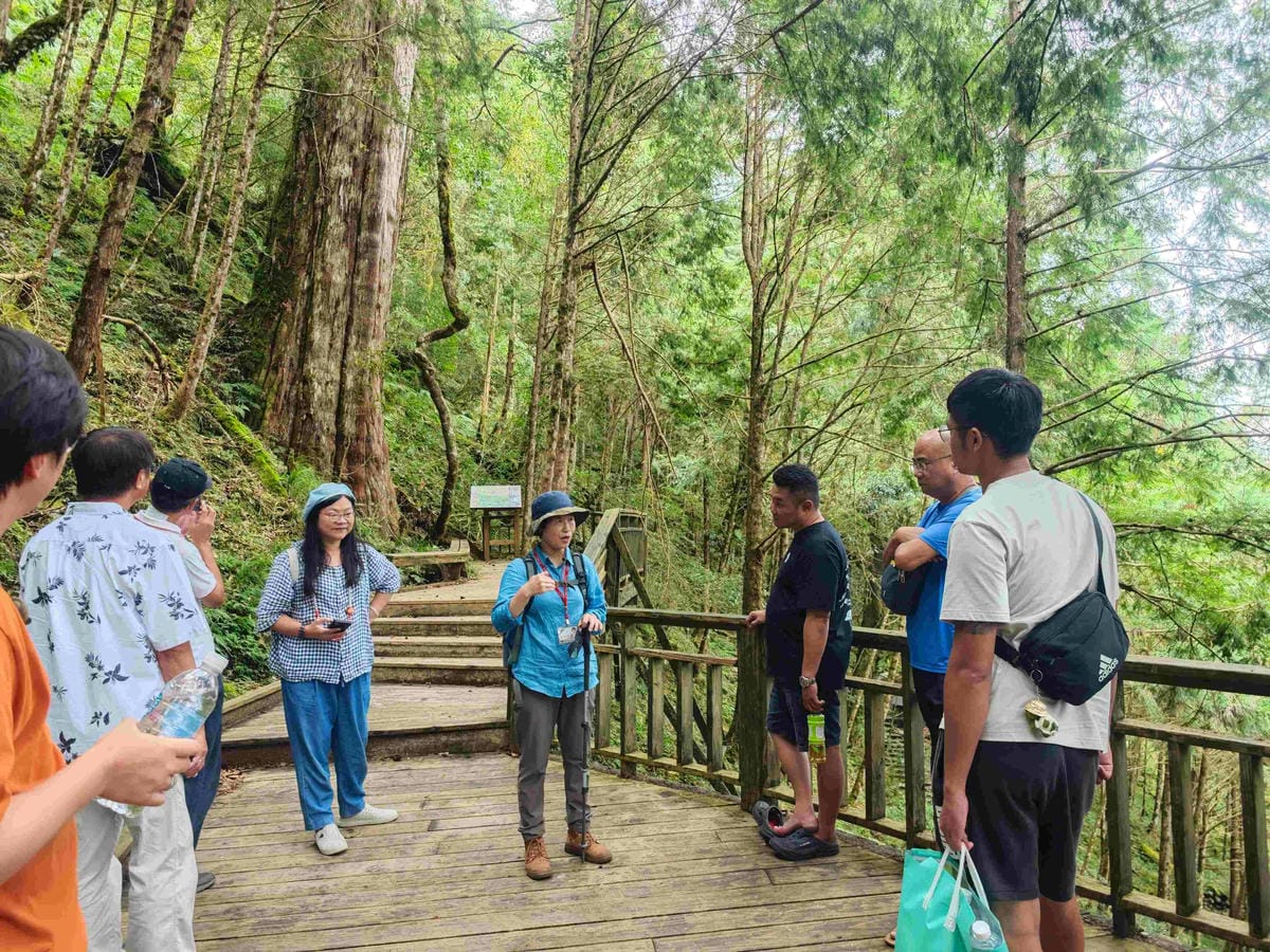 檜木的故鄉~棲蘭馬告神木園區 (57).jpg 檜木的故鄉~棲蘭馬告神木園區 (57).jpg