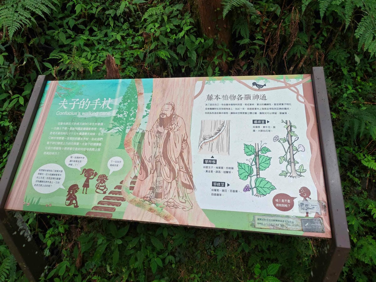 檜木的故鄉~棲蘭馬告神木園區 (56).jpg 檜木的故鄉~棲蘭馬告神木園區 (56).jpg