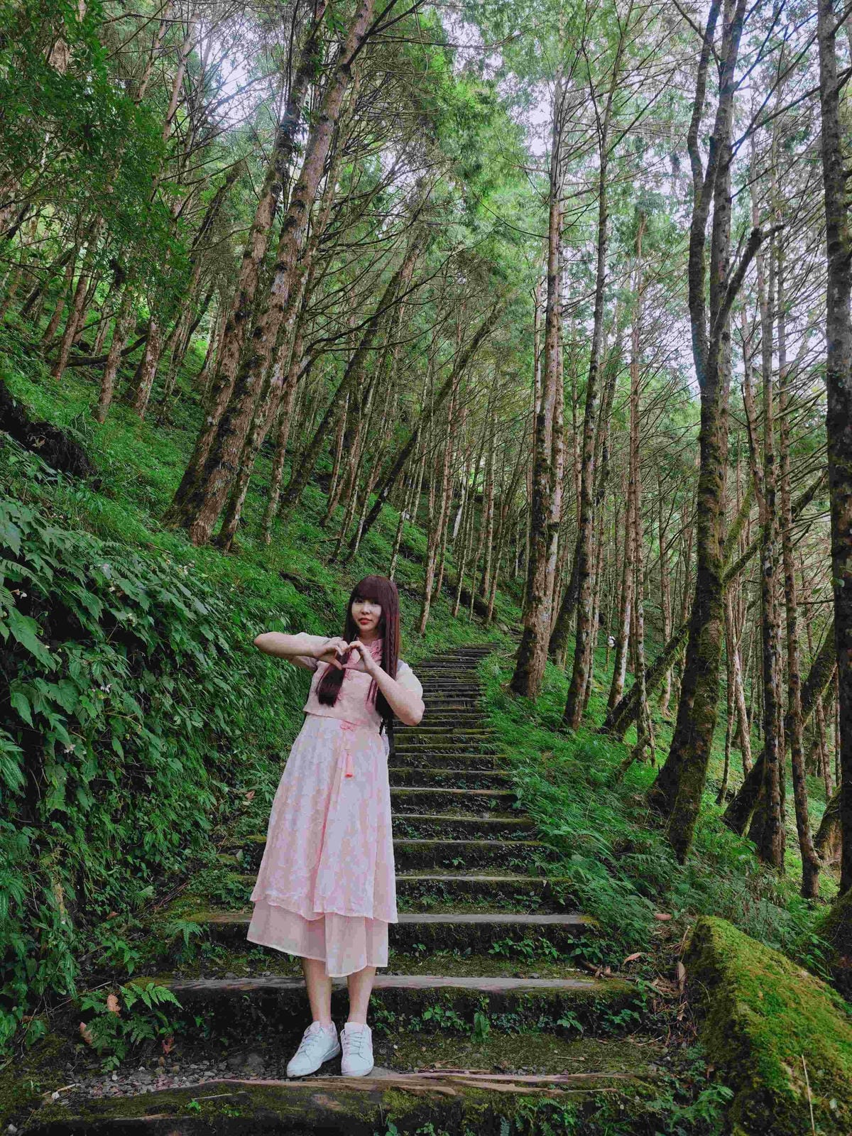 檜木的故鄉~棲蘭馬告神木園區 (10).jpg 檜木的故鄉~棲蘭馬告神木園區 (10).jpg