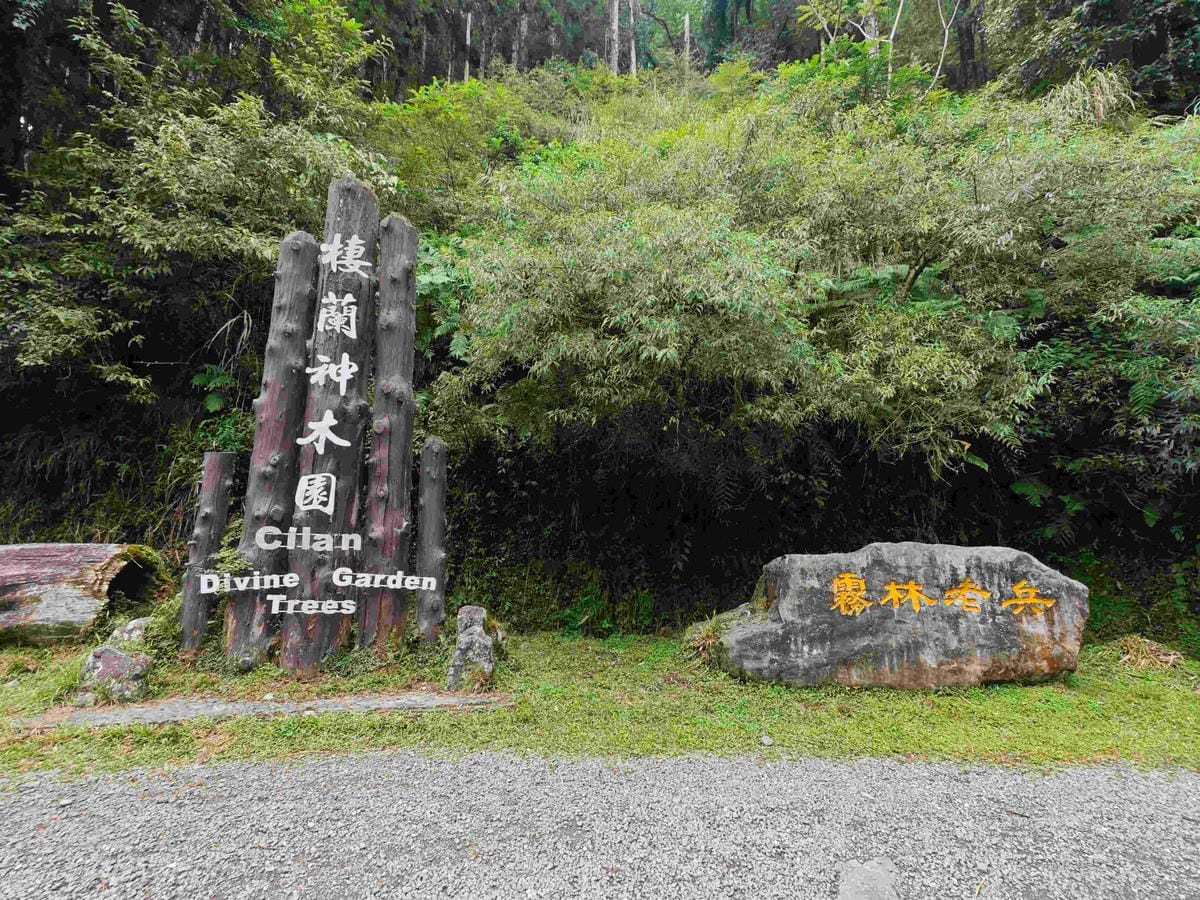 檜木的故鄉~棲蘭馬告神木園區 (72).jpg 檜木的故鄉~棲蘭馬告神木園區 (72).jpg