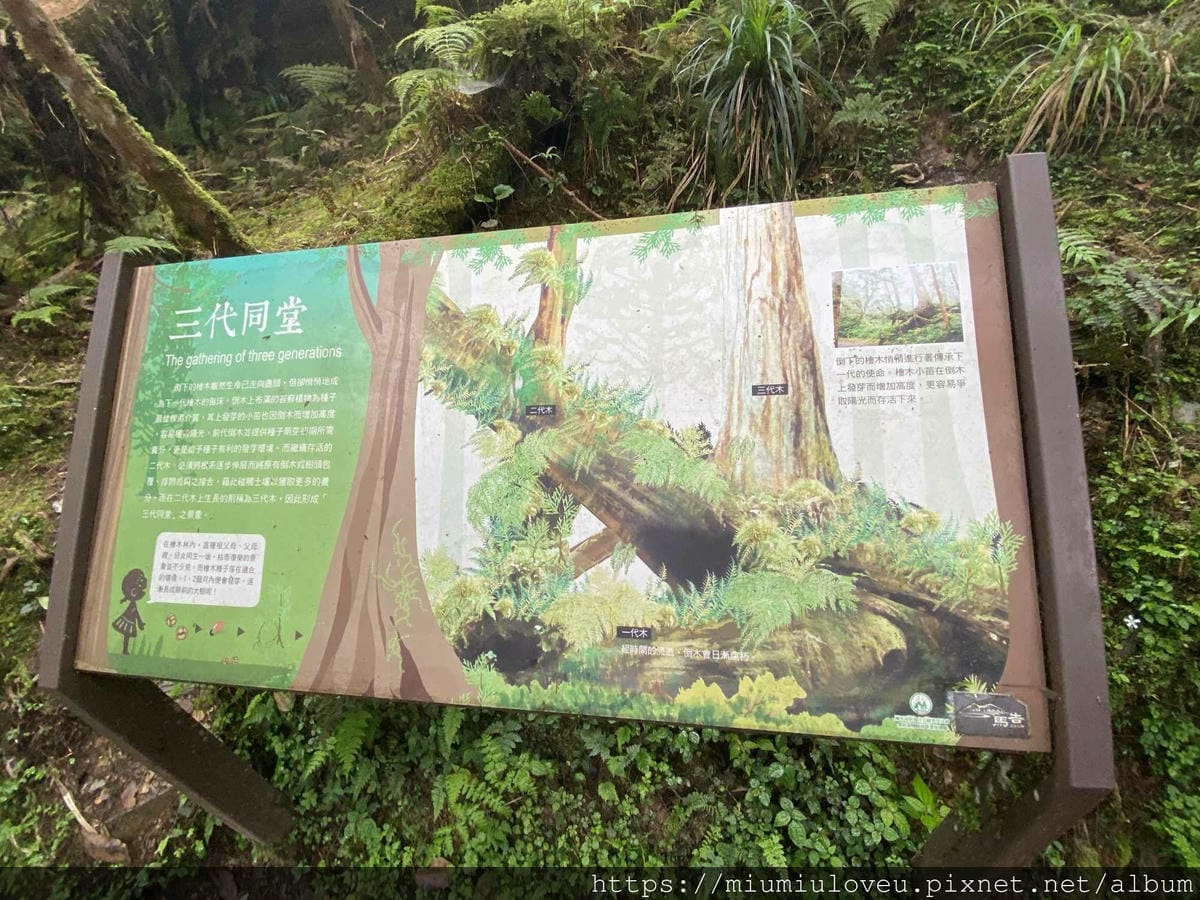 IMG_0287_副本.jpg IMG_0287_副本.jpg