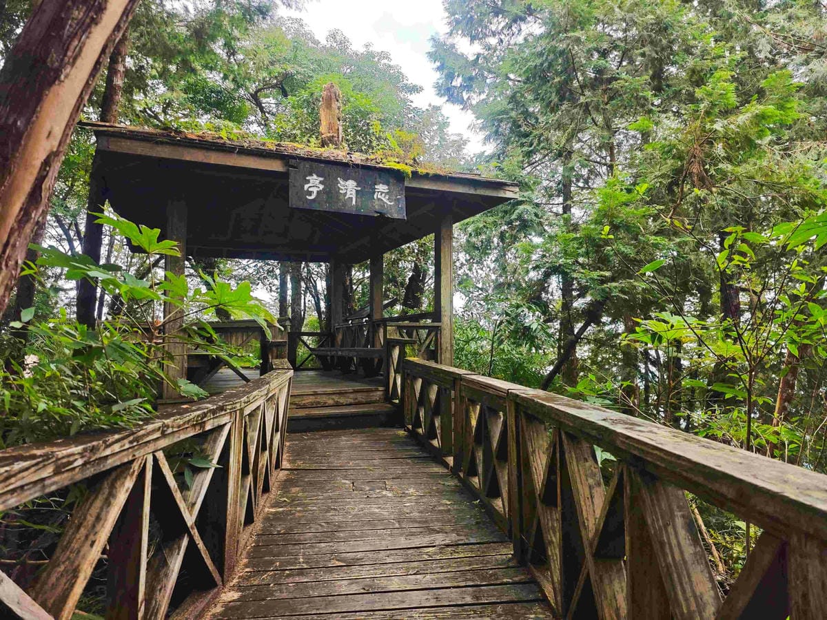 檜木的故鄉~棲蘭馬告神木園區 (29).jpg 檜木的故鄉~棲蘭馬告神木園區 (29).jpg