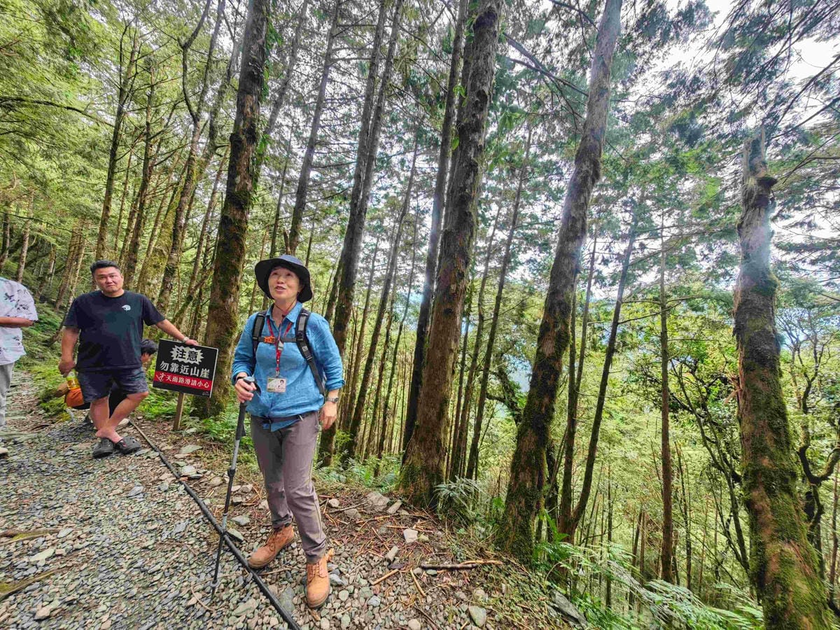 檜木的故鄉~棲蘭馬告神木園區 (68).jpg 檜木的故鄉~棲蘭馬告神木園區 (68).jpg