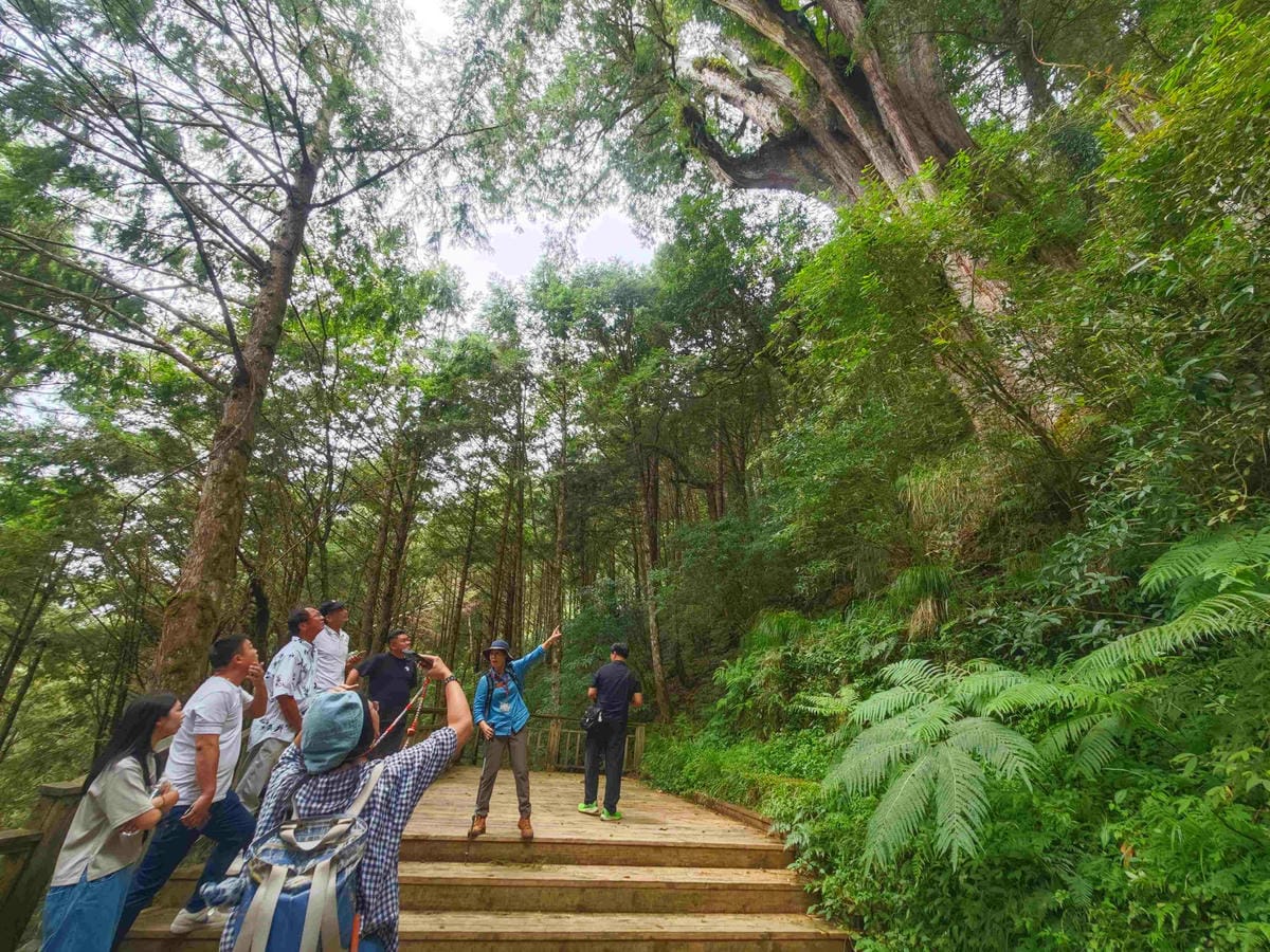 檜木的故鄉~棲蘭馬告神木園區 (51).jpg 檜木的故鄉~棲蘭馬告神木園區 (51).jpg
