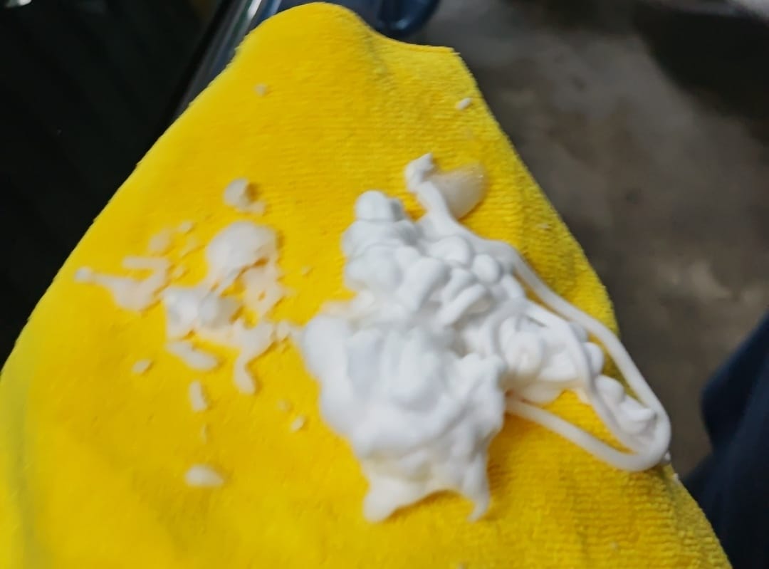 SOFT99車內萬用清潔劑+Roompia 超細清潔刷 (15).jpg SOFT99車內萬用清潔劑+Roompia 超細清潔刷 (15).jpg