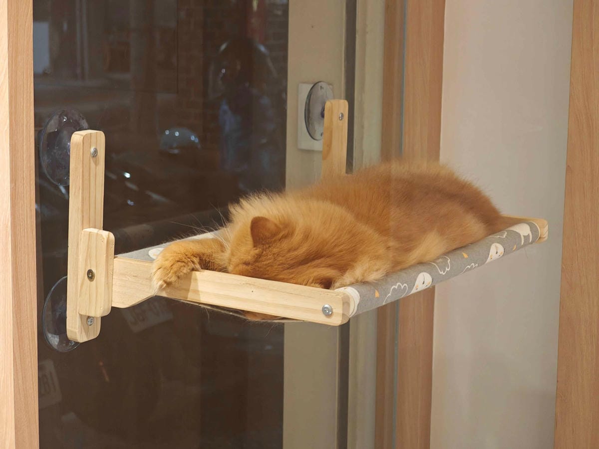 古琰咖啡 (58).jpg 古琰咖啡 (58).jpg