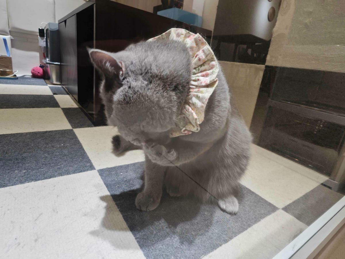 古琰咖啡 (16).jpg 古琰咖啡 (16).jpg