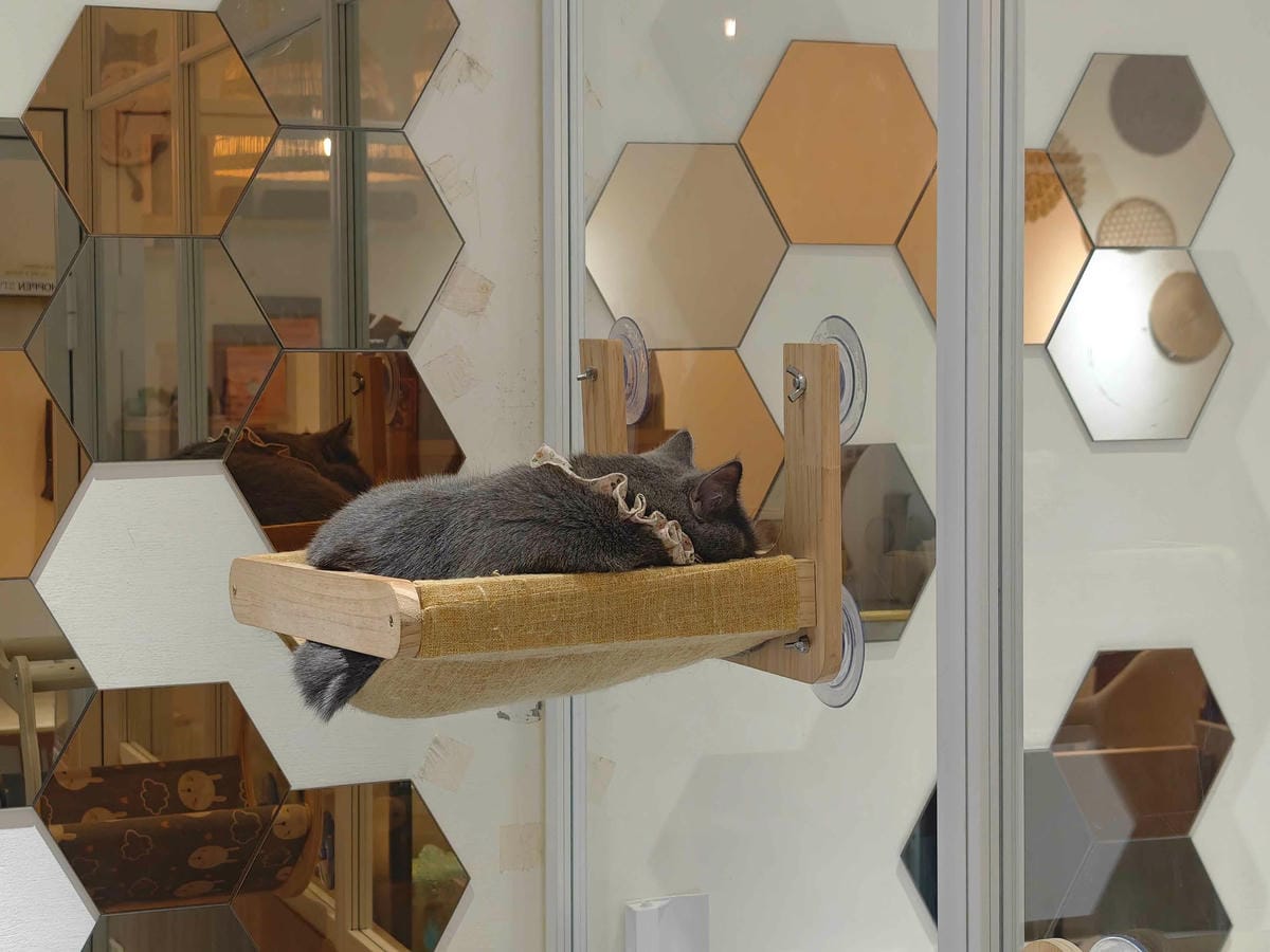 古琰咖啡 (55).jpg 古琰咖啡 (55).jpg