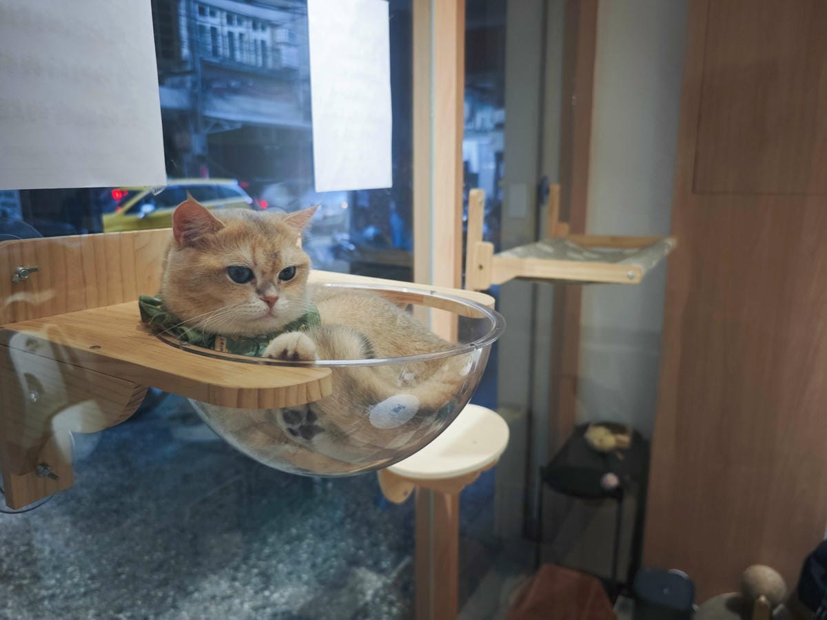 古琰咖啡 (18).jpg 古琰咖啡 (18).jpg