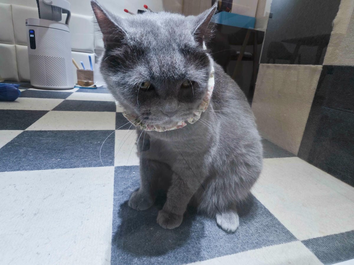 古琰咖啡 (17).jpg 古琰咖啡 (17).jpg