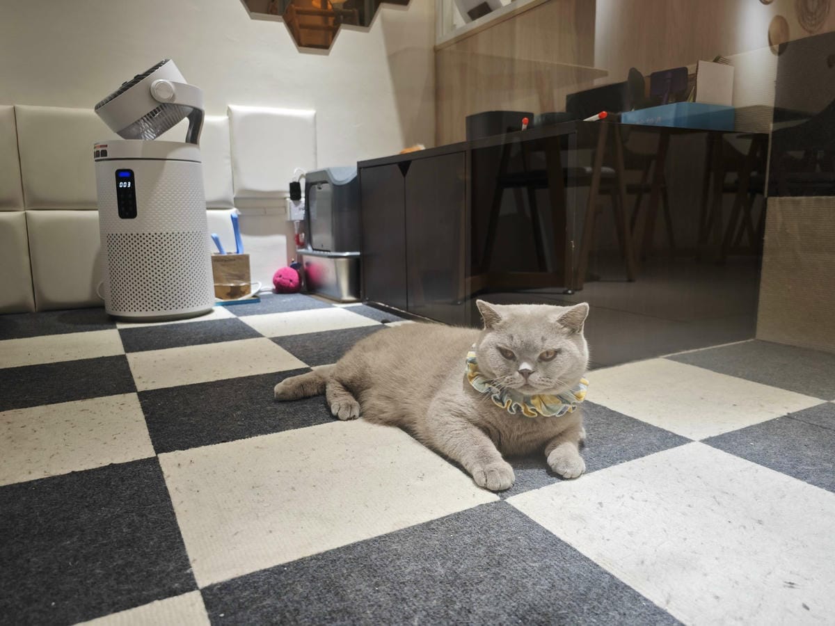 古琰咖啡 (28).jpg 古琰咖啡 (28).jpg