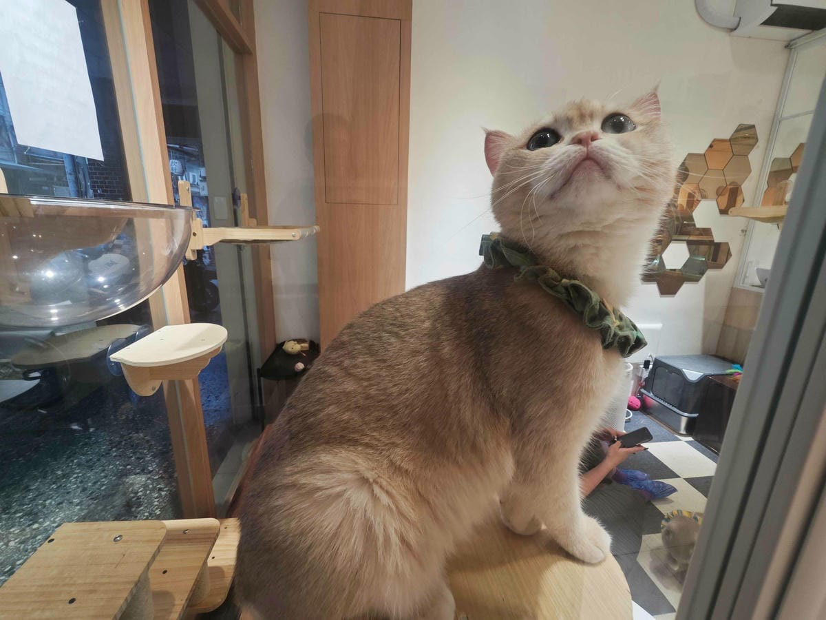 古琰咖啡 (12).jpg 古琰咖啡 (12).jpg