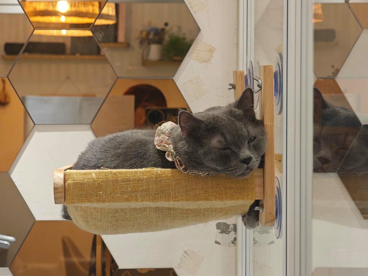 古琰咖啡 (64).jpg 古琰咖啡 (64).jpg