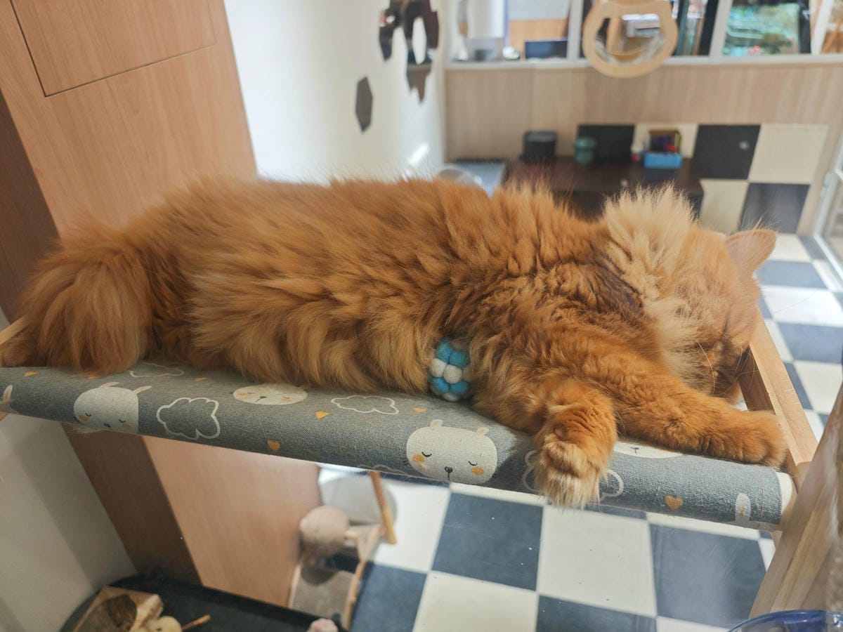 古琰咖啡 (65).jpg 古琰咖啡 (65).jpg