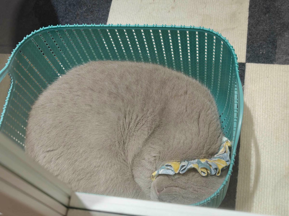 古琰咖啡 (57).jpg 古琰咖啡 (57).jpg