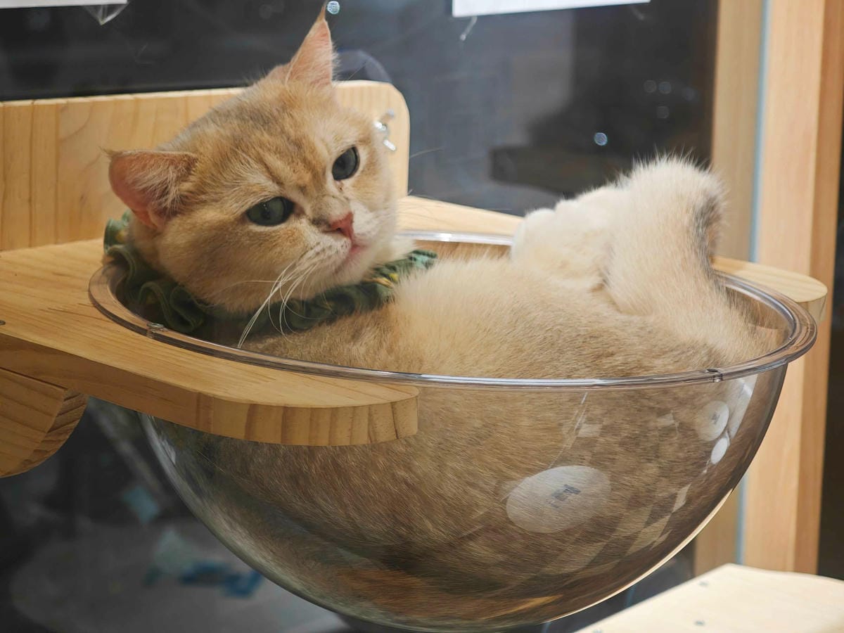 古琰咖啡 (59).jpg 古琰咖啡 (59).jpg