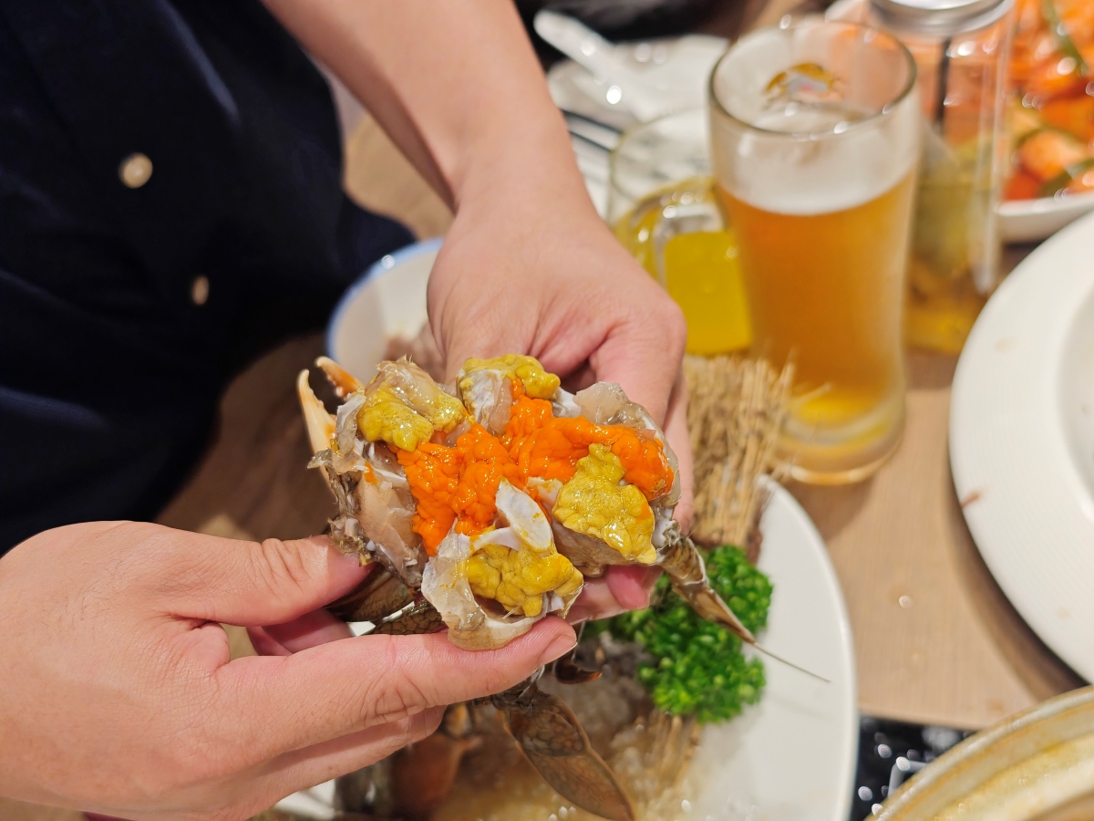 【台北雞湯火鍋推薦】君曜雞湯正式插旗信義區！雞湯界 LV 星曜雞湯姐妹店，喝雞湯也能一路玩到跨年倒數