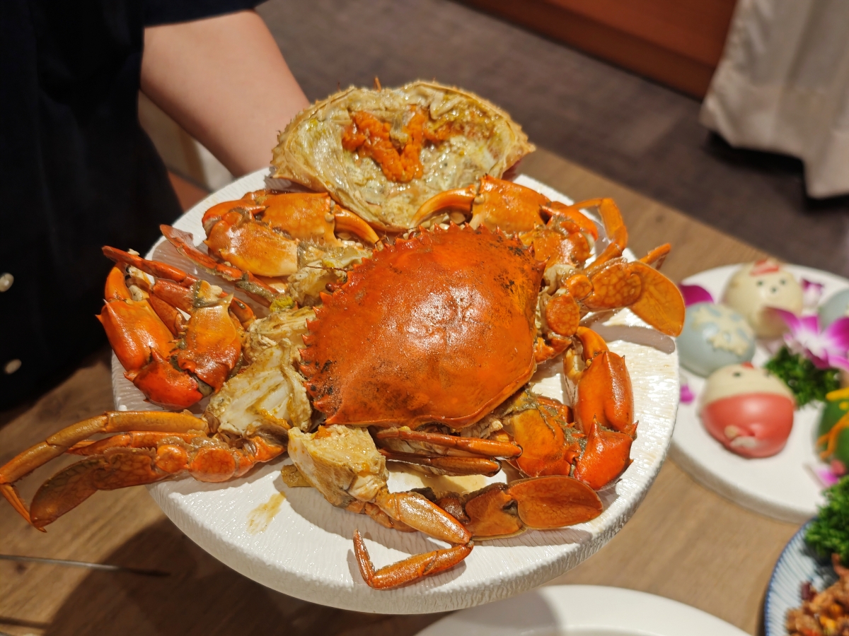 【台北雞湯火鍋推薦】君曜雞湯正式插旗信義區！雞湯界 LV 星曜雞湯姐妹店，喝雞湯也能一路玩到跨年倒數