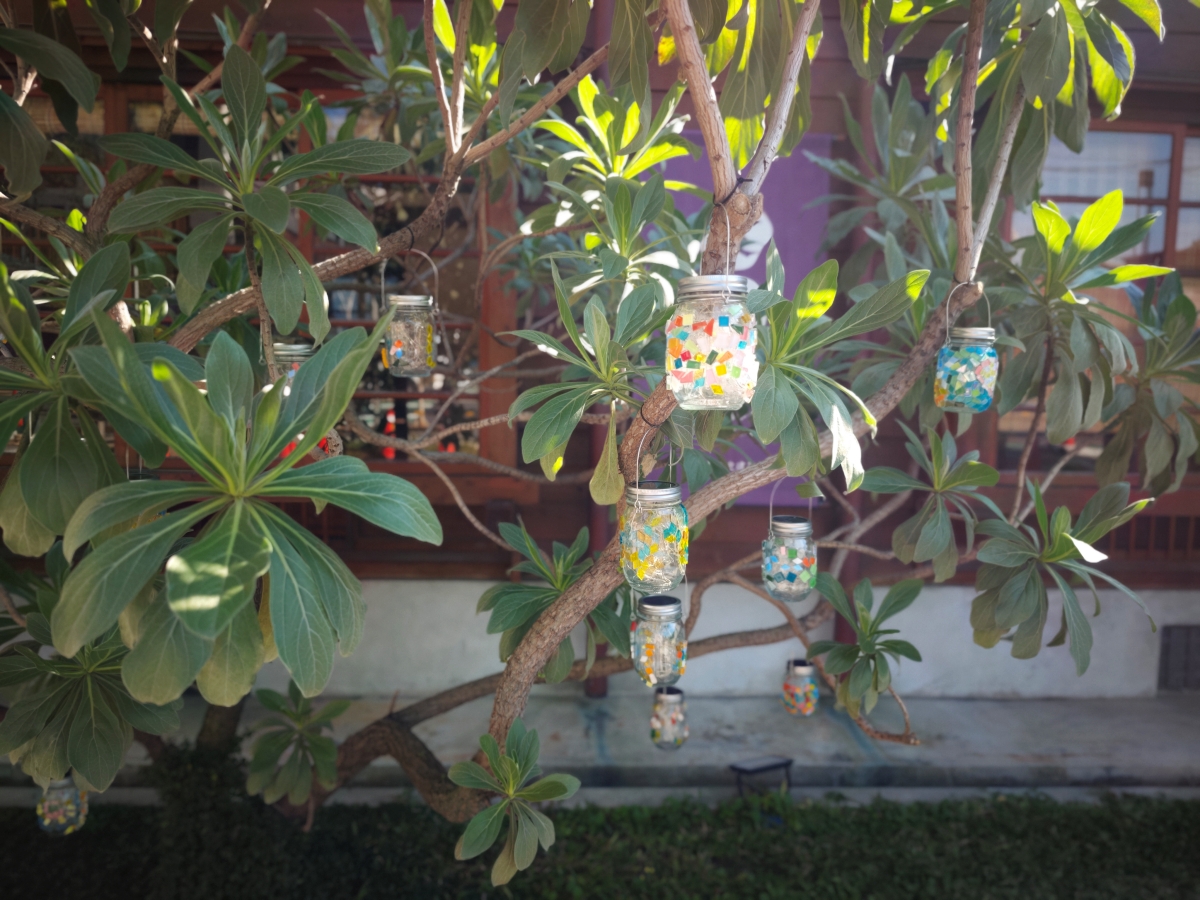 蕃薯藤自然食堂（食寓）-穿越時光的饗宴：在平鎮百年日式老屋，找回味蕾的純粹感動