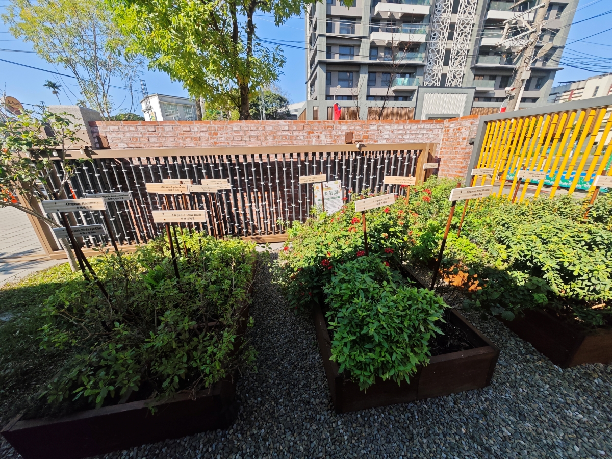 蕃薯藤自然食堂（食寓）-穿越時光的饗宴：在平鎮百年日式老屋，找回味蕾的純粹感動