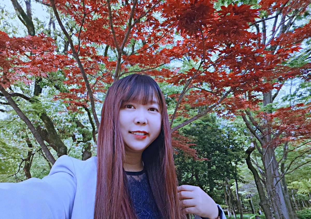 🎐 大阪漫遊｜多明哥之家：在昭和木屋裡，寫下暖心時光