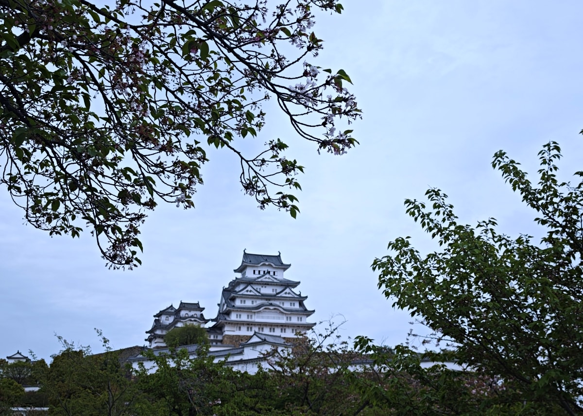 那一場說走就走的關西旅行，神隊友「翔翼通訊」陪我玩遍兵庫、神戶、京阪