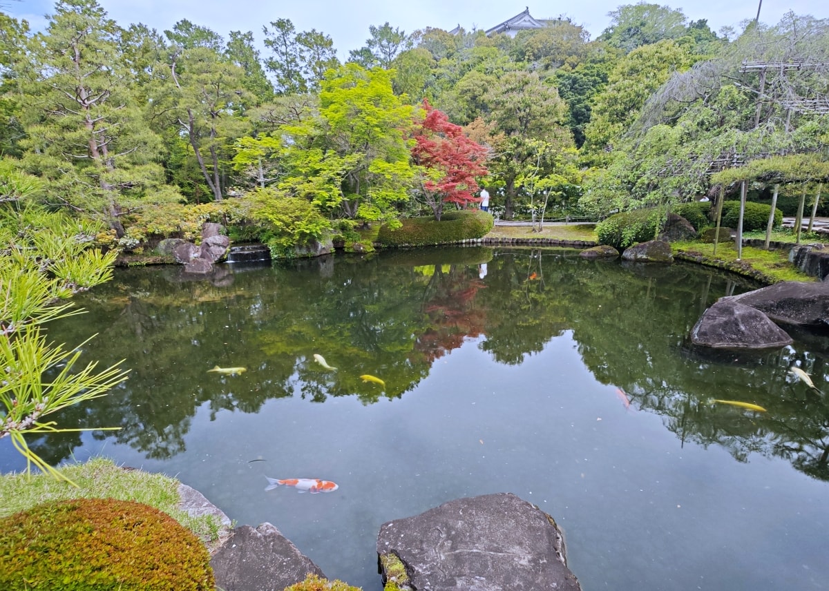 那一場說走就走的關西旅行，神隊友「翔翼通訊」陪我玩遍兵庫、神戶、京阪