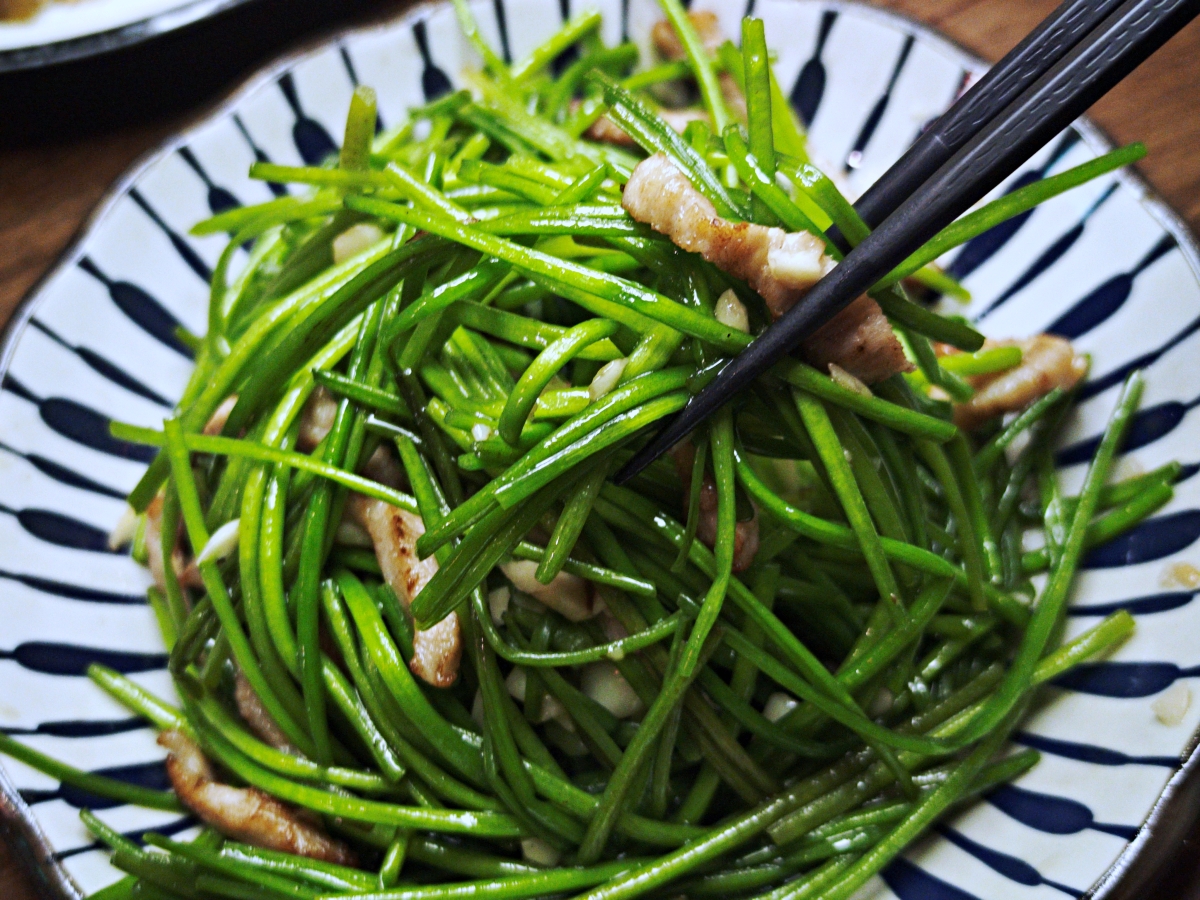 職人級深夜食堂！【老味噌居酒屋景安店】中永和居酒屋推薦