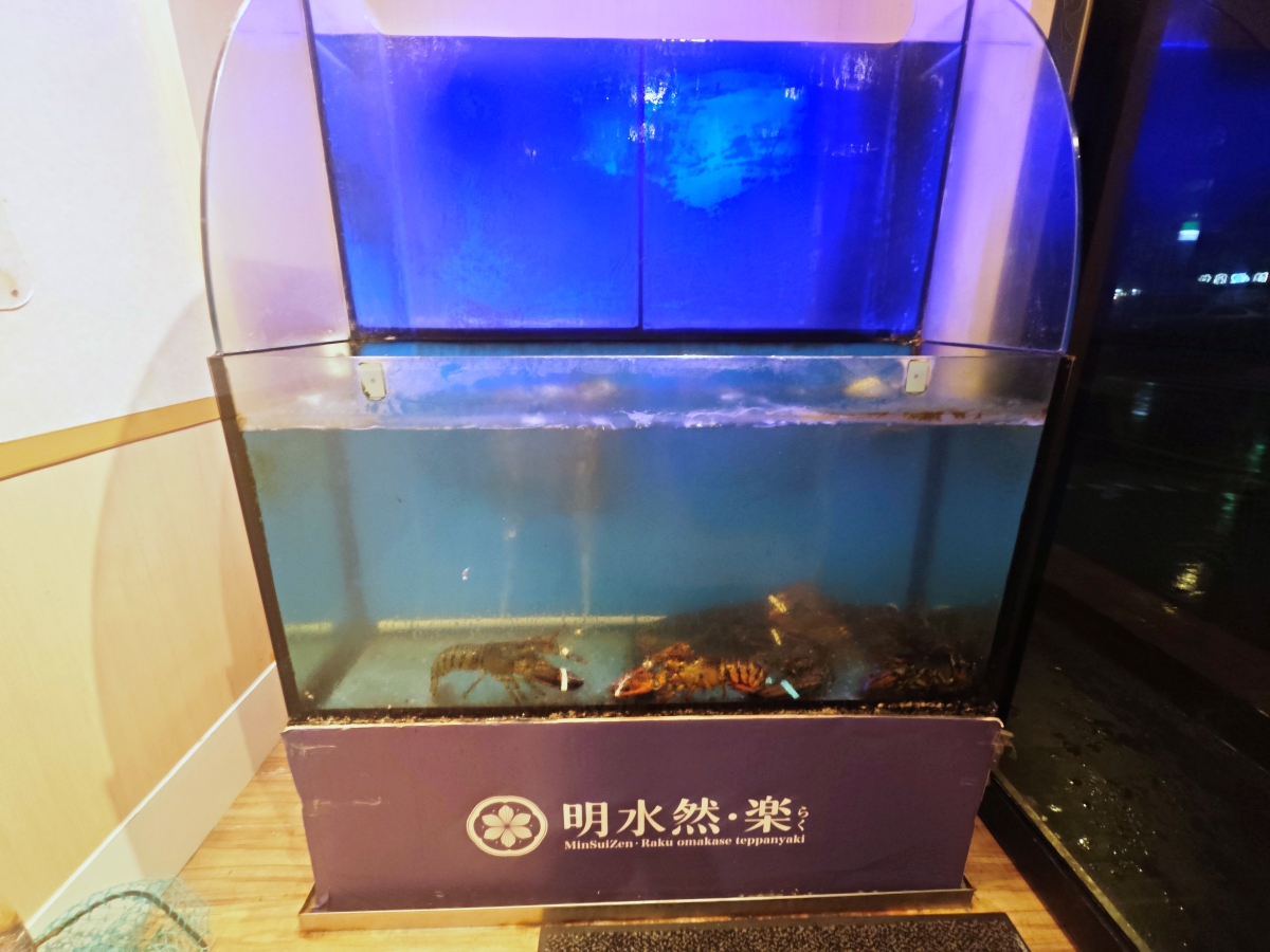 明水然樂板橋店｜2026全新樂御宴開箱 活龍蝦、日本海膽、南非活鮑魚、A5和牛一次滿足！高CP值無菜單鐵板燒推薦